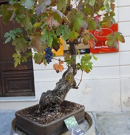 Hébergement de vacances La Via Del Sale Holiday *